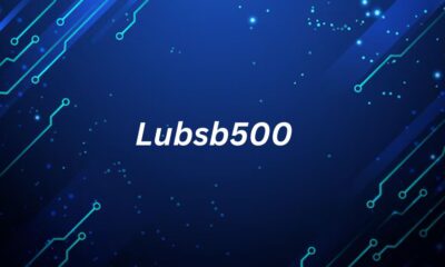 Lubsb500