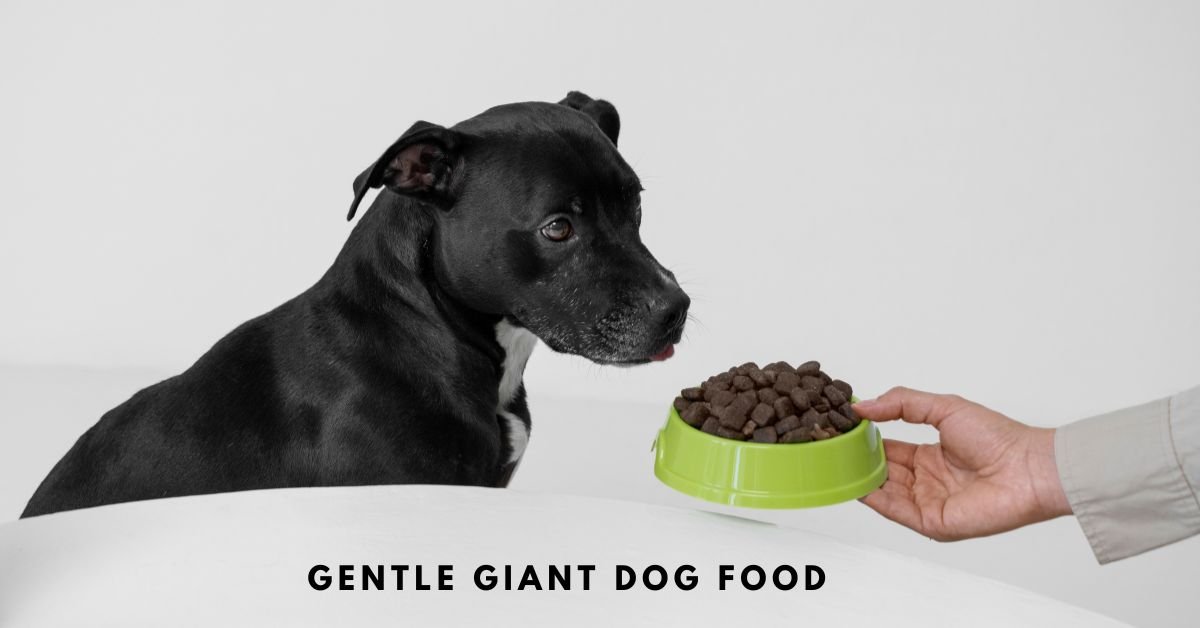 gentle giant dog food